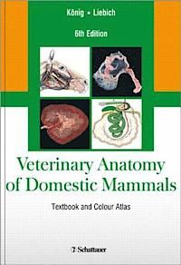 Veterinary Anatomy of Domestic Mammals