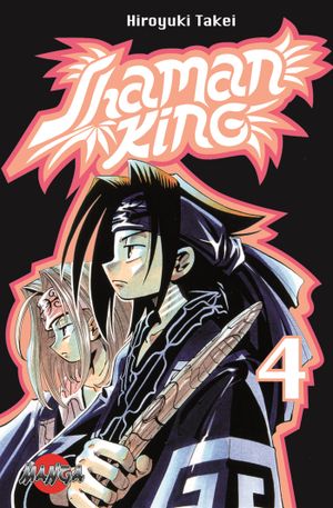 Shaman King 04 : Översjälen