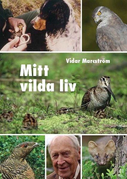 Mitt vilda liv | 0:e upplagan