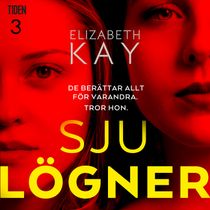 Sju lögner - tredje lögnen