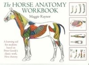 THe Horse Anatomy Workbook