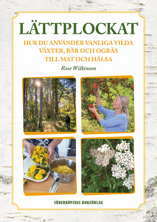 Lättplockat - Hur du använder vanliga vilda växter, bär och ogräs till mat och hälsa | 3 000:e upplagan