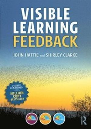 Visible Learning: Feedback | 1:a upplagan