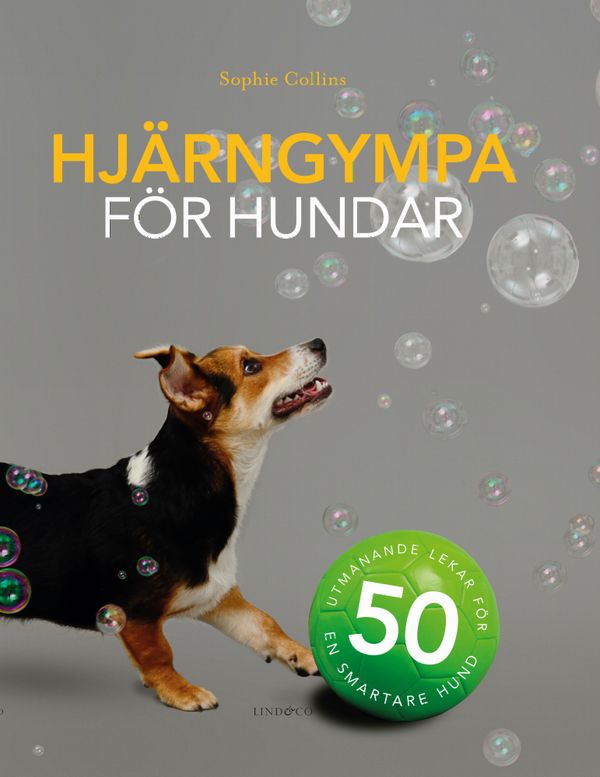 Hjärngympa för hundar : 50 utmanande lekar för en smartare hund | 0:e upplagan