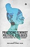 Practising feminist political ecologies - moving beyond the green economy
