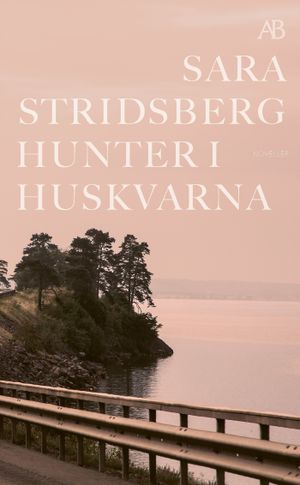 Hunter i Huskvarna