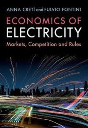 Economics of Electricity