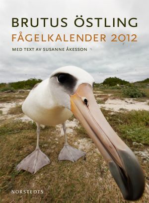 Fågelkalender 2012 | 1:a upplagan