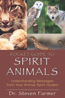 Pocket guide to spirit animals - understanding messages from your animal sp