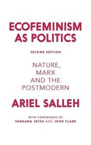 Ecofeminism as Politics: Nature, Marx, and the Postmodern