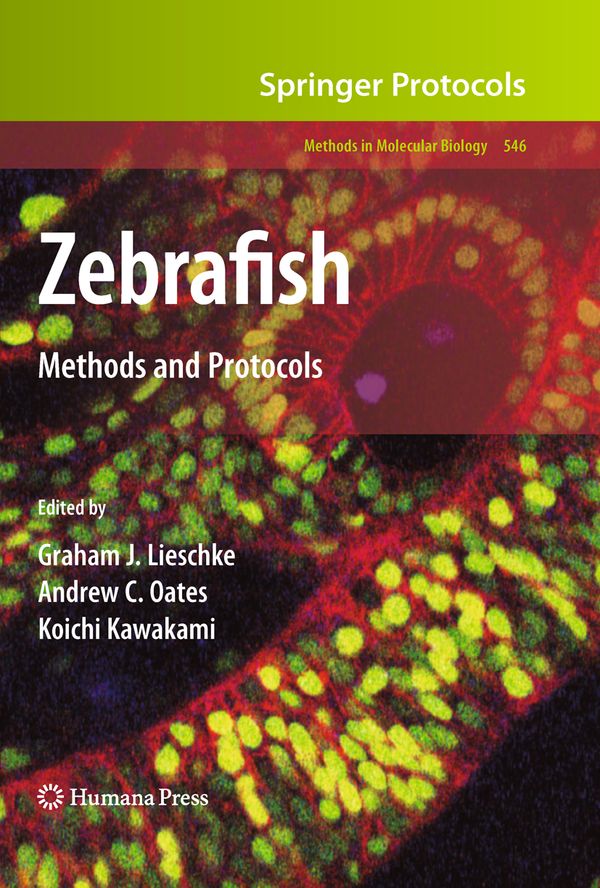 Zebrafish | 1:a upplagan