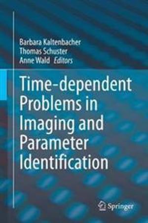 Time-dependent Problems in Imaging and Parameter Identification | 1:a upplagan