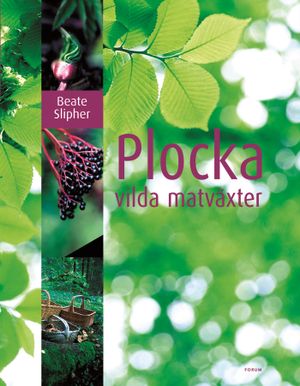 Plocka vilda matväxter