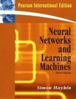 Neural Networks and Learning Machines