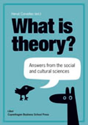 What is theory? : answers from the social and cultural sciences | 1:a upplagan