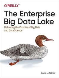 The enterprise big data lake