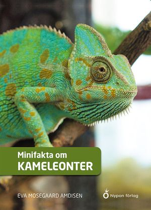 Minifakta om kameleonter | 1:a upplagan