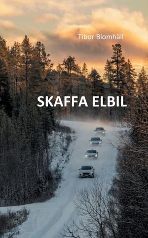 Skaffa elbil : allt du ville veta om elbilar men varit för blyg för att fråga | 1:a upplagan