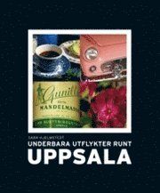 Underbara utflykter runt Uppsala