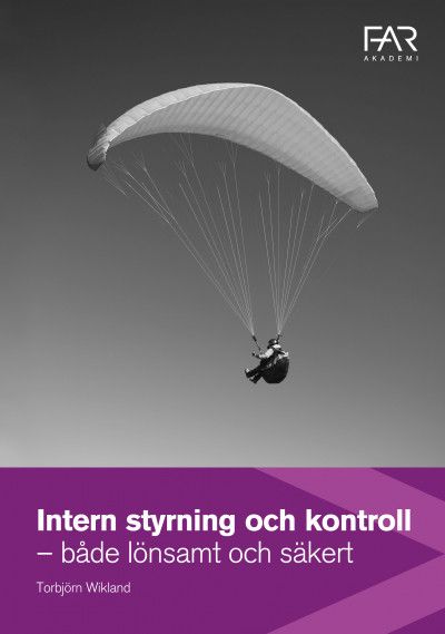 Intern Styrning och kontroll - både lönsamt och säkert | 0:e upplagan