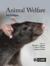 Animal Welfare