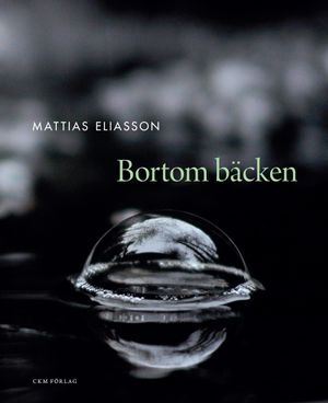 Bortom bäcken | 1:a upplagan