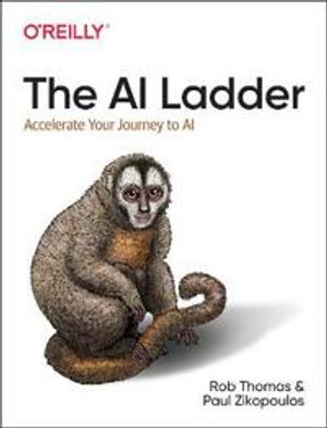 The AI Ladder