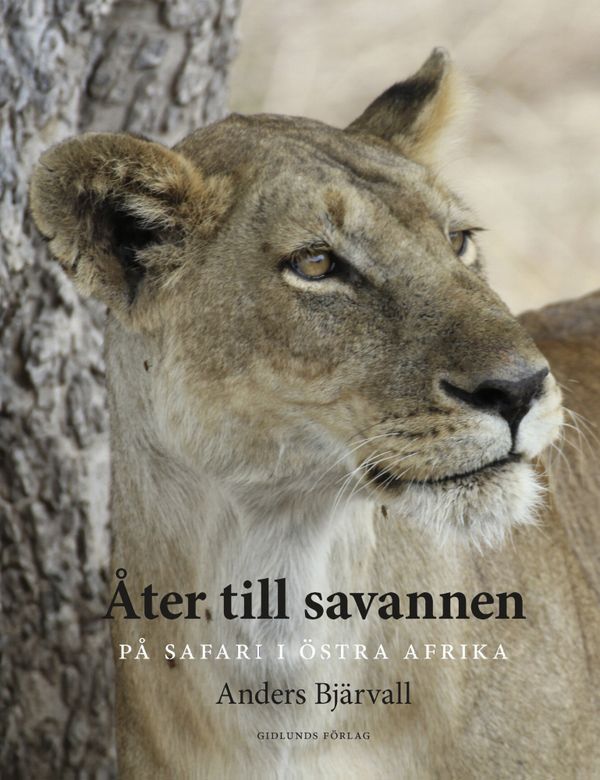 Åter till savannen | 1:a upplagan