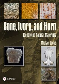 Bone, Ivory, And Horn : Identifying Natural Materials