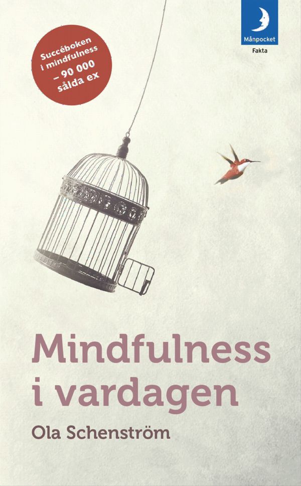Mindfulness i vardagen : Vägar till medveten närvaro | 0:e upplagan