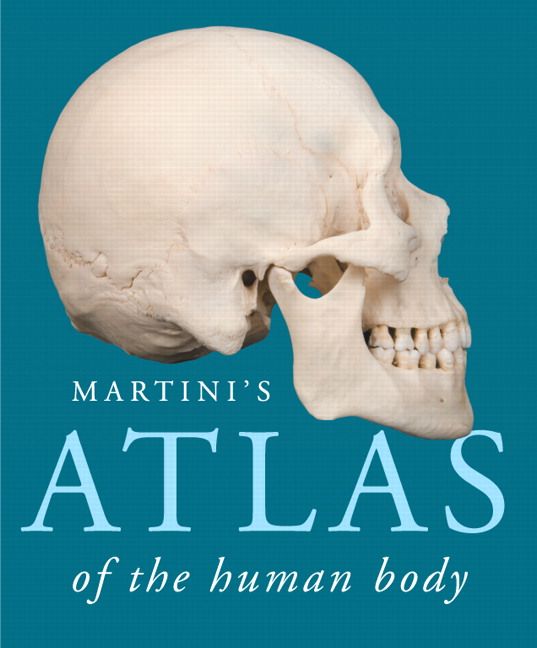Martini's Atlas of the Human Body | 10:e upplagan