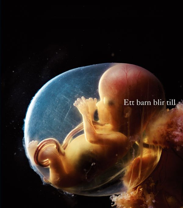 Ett barn blir till | 0:e upplagan