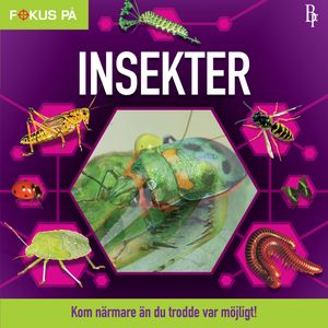 Fokus på : Insekter | 1:a upplagan