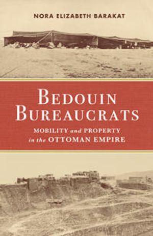 Bedouin Bureaucrats