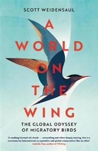 A World on the Wing