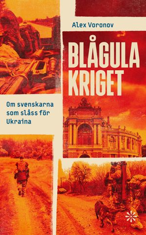 Blågula kriget: Svenskarna som kämpar mot Putin i Ukraina