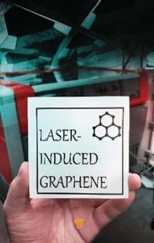 Laser?Induced Graphene | 1:a upplagan