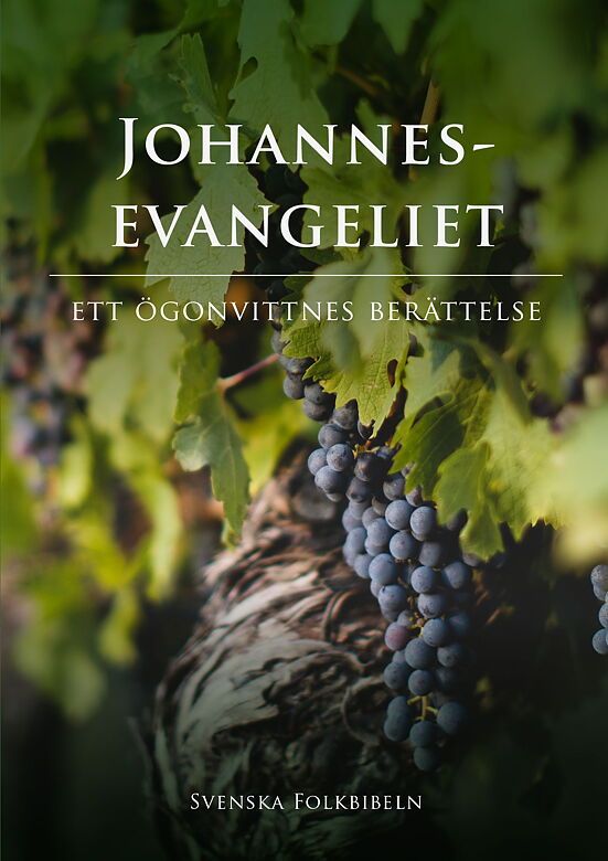 Johannesevangeliet | 4:e upplagan