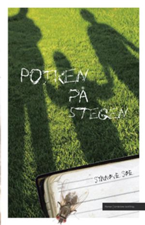 Pojken på stegen | 1:a upplagan