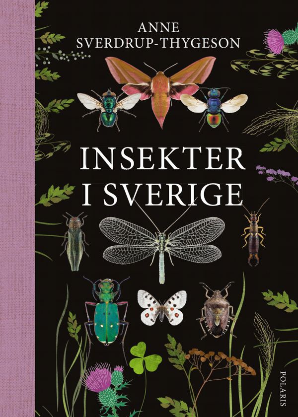 Insekter i Sverige | 0:e upplagan