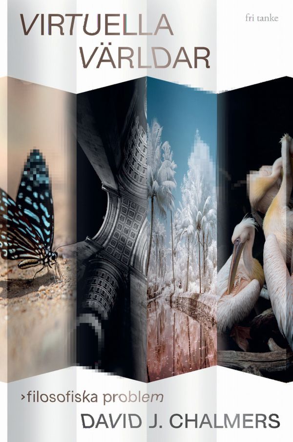 Virtuella världar : filosofiska problem | 0:e upplagan