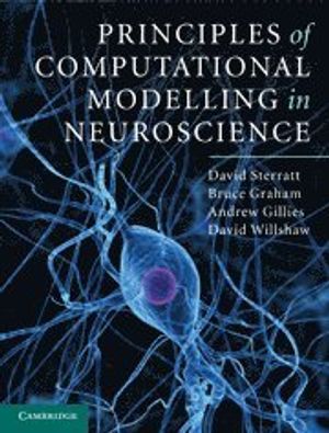 Principles of Computational Modelling in Neuroscience