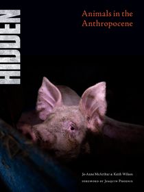 Hidden : Animals in the Anthropocene