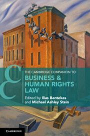 The Cambridge Companion to Business and Human Rights Law | 0:e upplagan