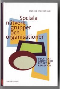 Sociala nätverk, grupper och organisationer : praktiskt arbete och teoretisk reflexion | 1:a upplagan