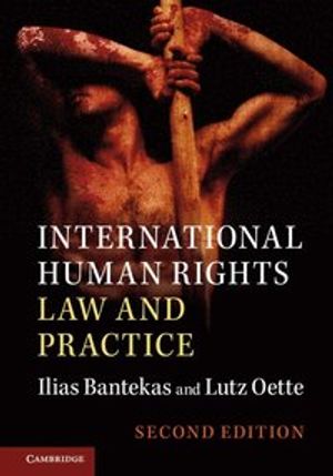 International human rights law and practice