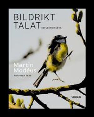 Bildrikt talat, reflektionsbok | 1:a upplagan