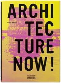 Architecture Now! Vol. 10