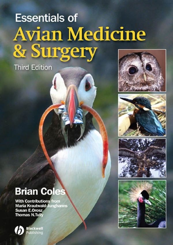 Essentials of Avian Medicine and Surgery, 3rd Edition | 3:e upplagan