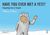 Have You Ever Met a Yeti?